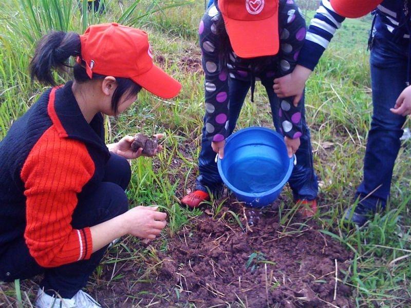 248三小-蓝、冰星雨儿、圆梦.jpg